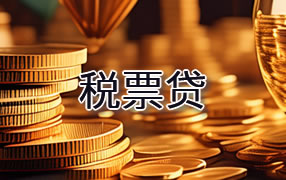 玉溪税票贷